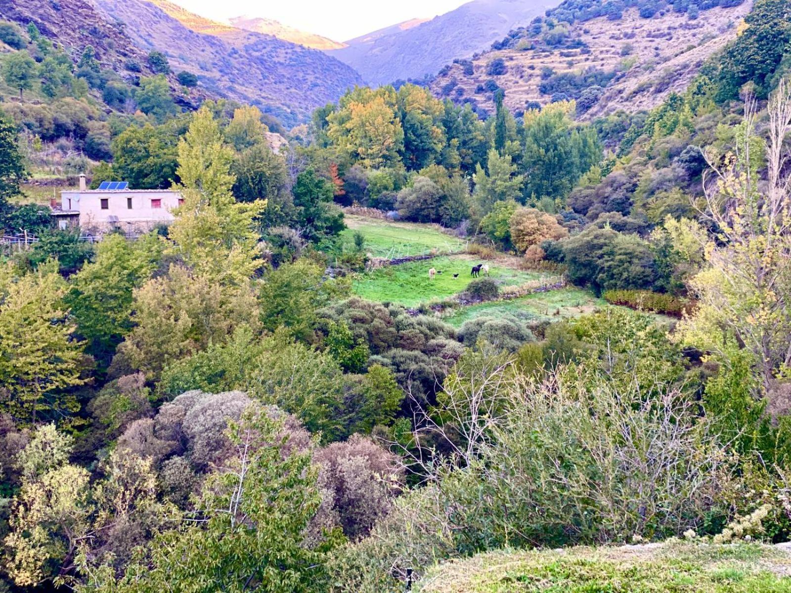 Casa Rural Cortijo Molino Altero Trevelez Exterior photo